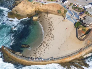 free things to do in san diego for families