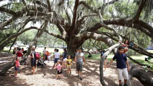 free things to do in orlando for families