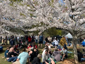 things to do in atlanta this weekend for family