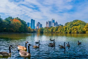 things to do in atlanta with kids