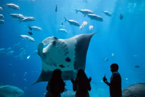 things to do in atlanta with kids
