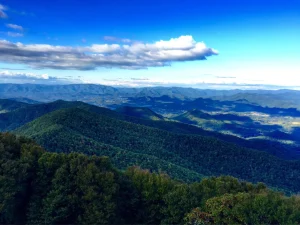 things to do in atlanta for adults