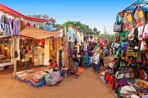 things to do in goa in august