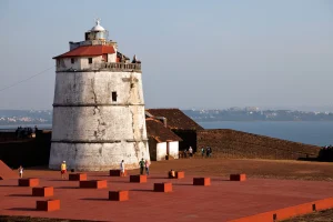 fun things to do in goa