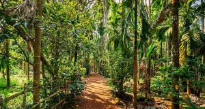 things to do in goa with kids