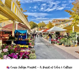 top things to do in nice France