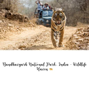 10 best places to visit in october in india