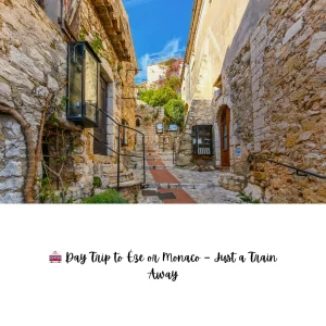 unique things to do in nice France