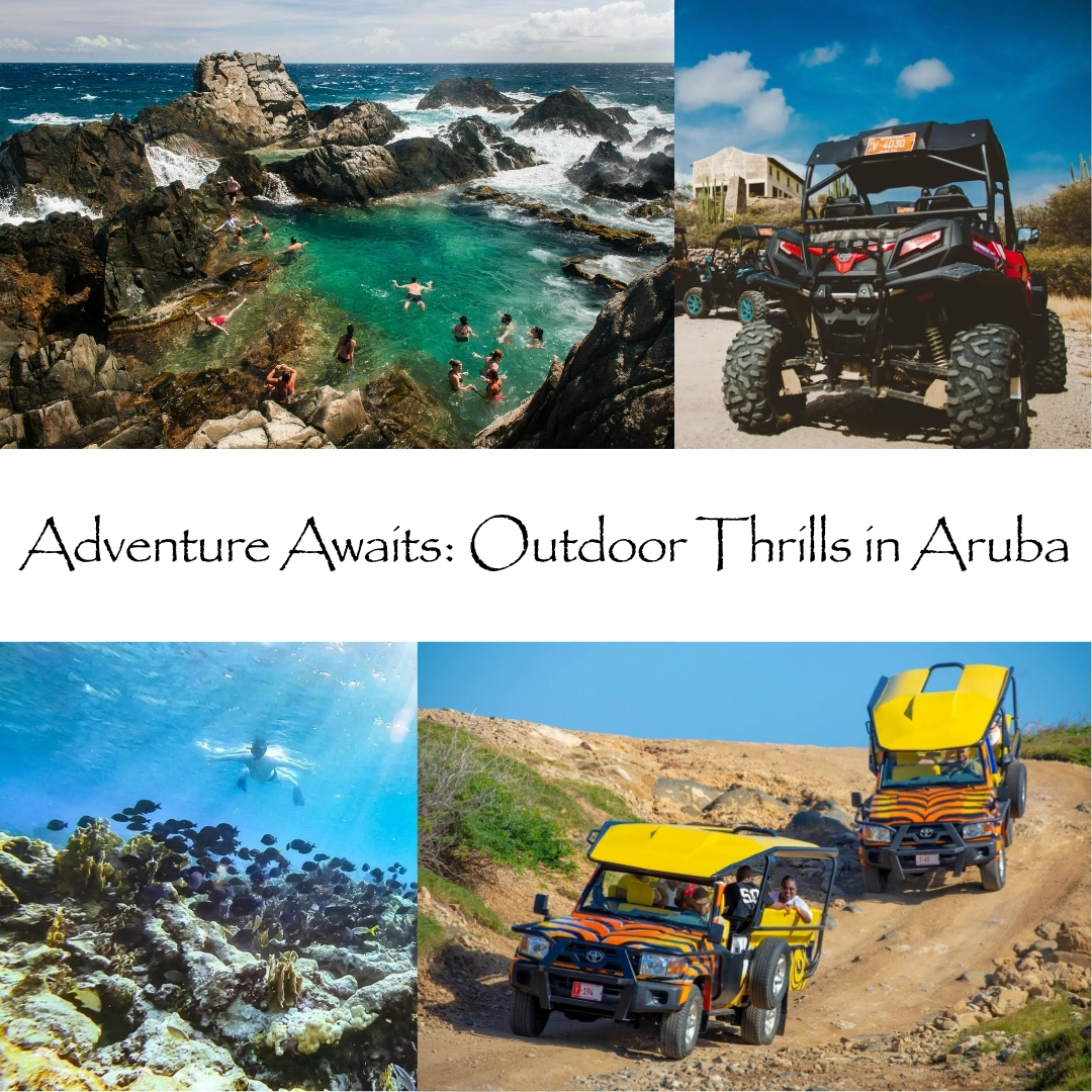things to do in aruba with kids