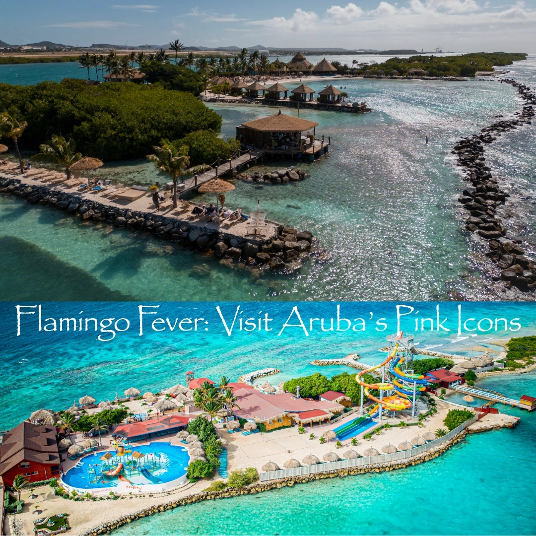 things to do in aruba for couples