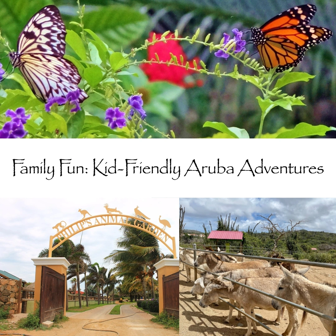 things to do in aruba on a cruise