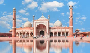 things to do in delhi