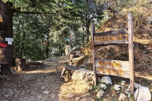 landour from delhi