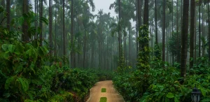 things to do in madikeri at night