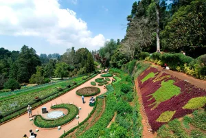 things to do in ooty in 2 days
