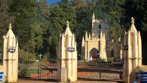 unique things to do in ooty