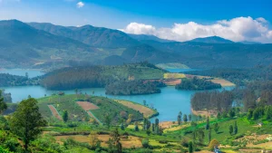 things to do in ooty at night