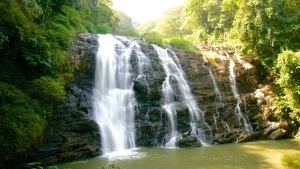 Abbey Falls