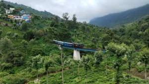 things to do in ooty with family