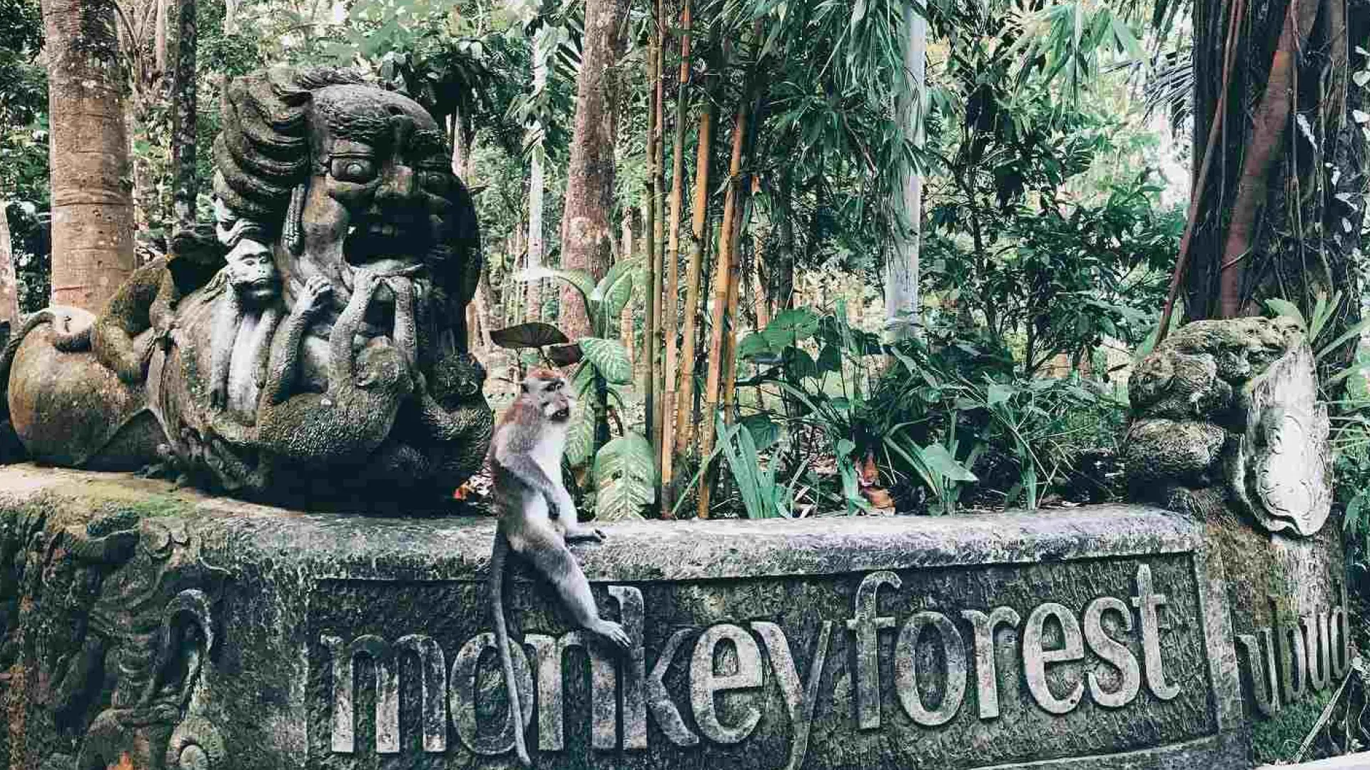 Ubud Monkey Forest