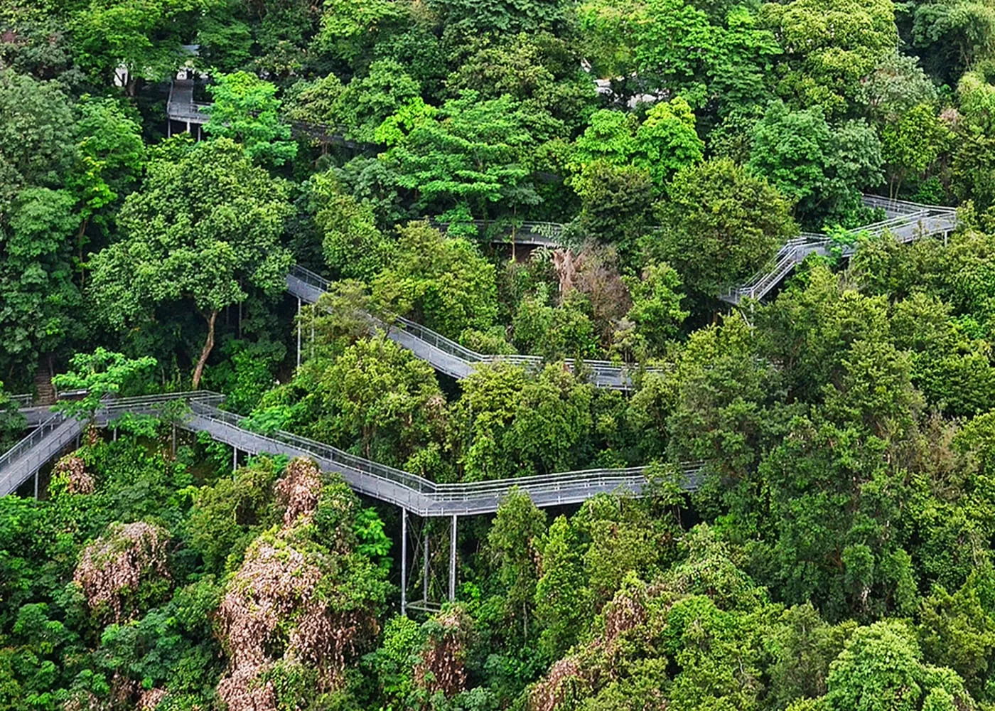 Southern Ridges Walking Trail