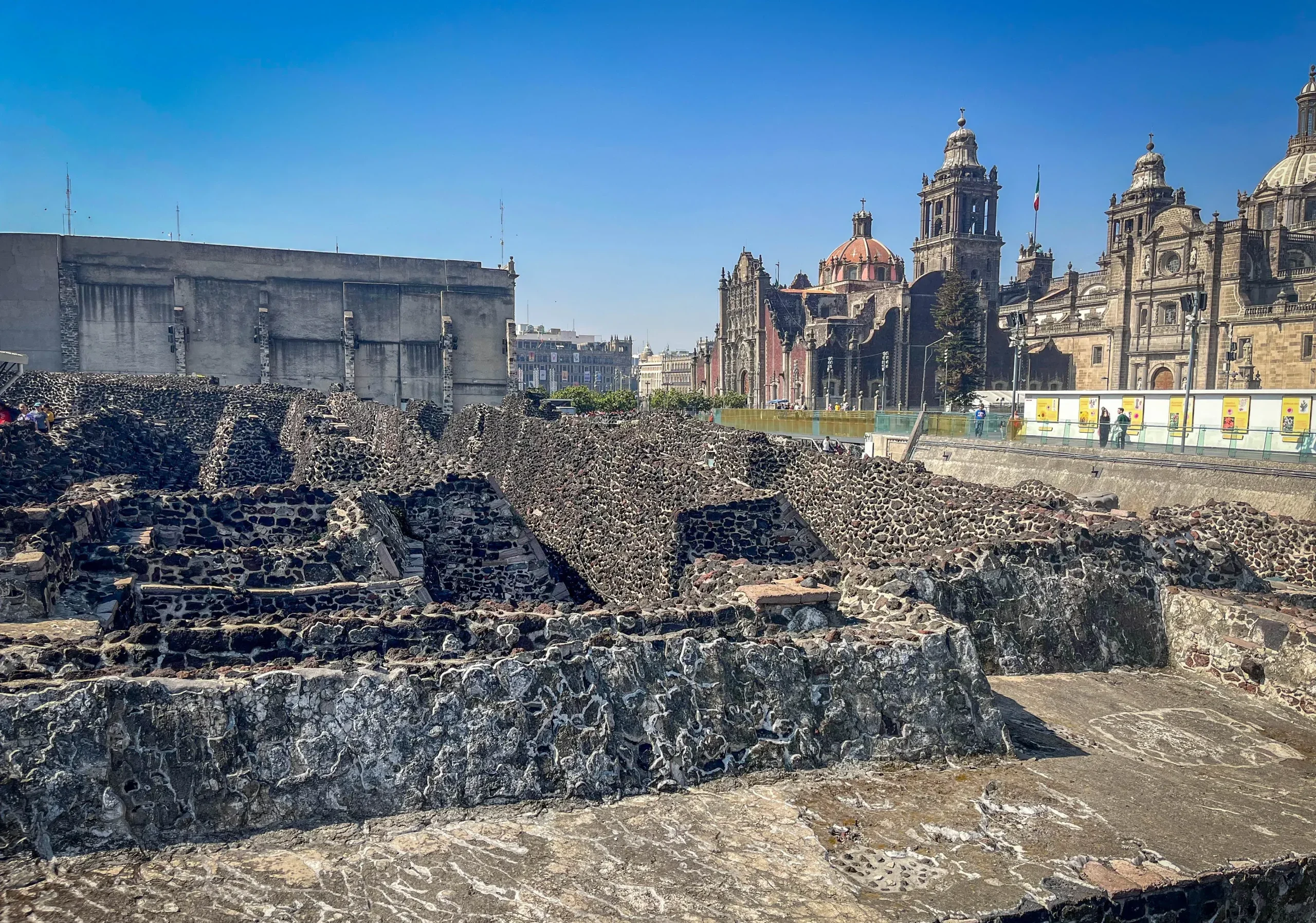 things to do in mexico city

