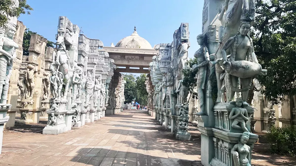 VGP Universal Kingdom