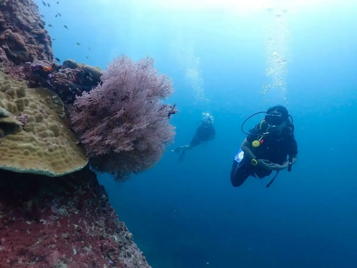 Scuba Diving in Racha Islands