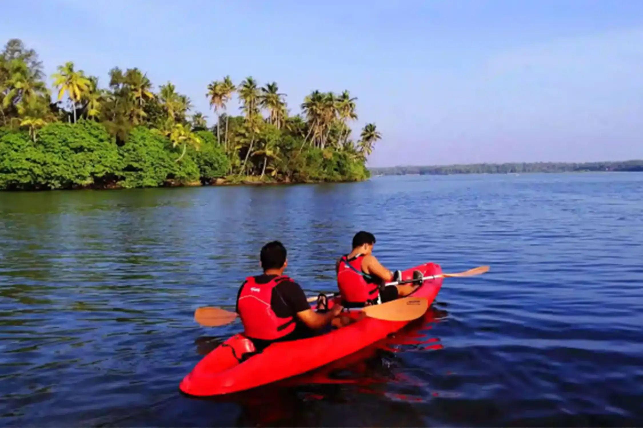 Mangrove Forest Kayaking