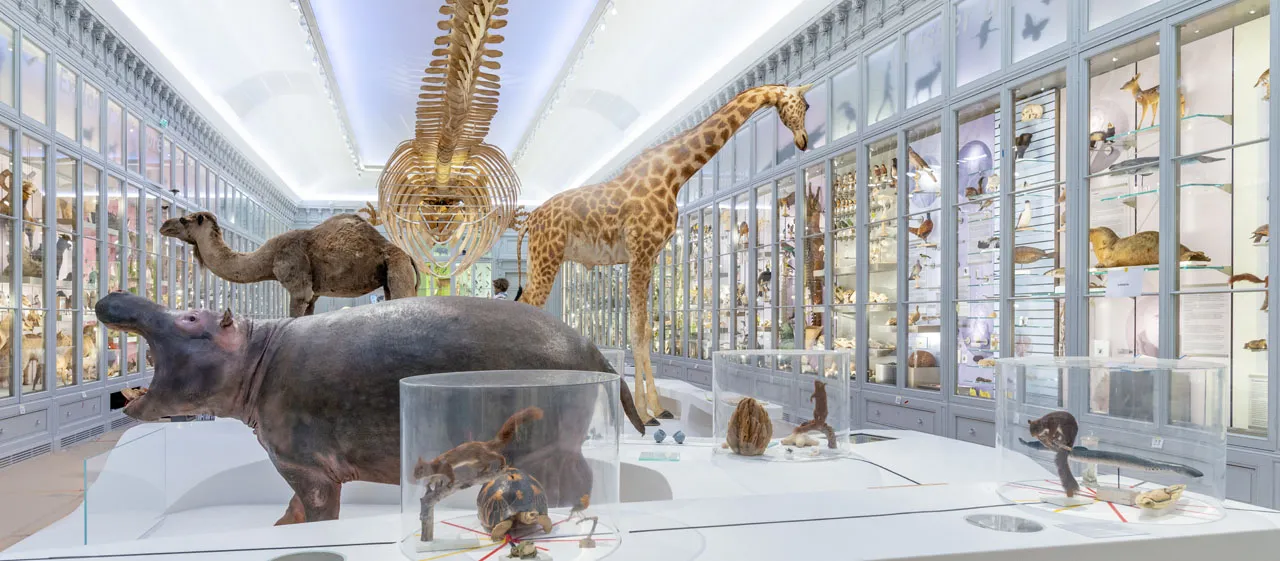Jardin Public & Natural History Museum