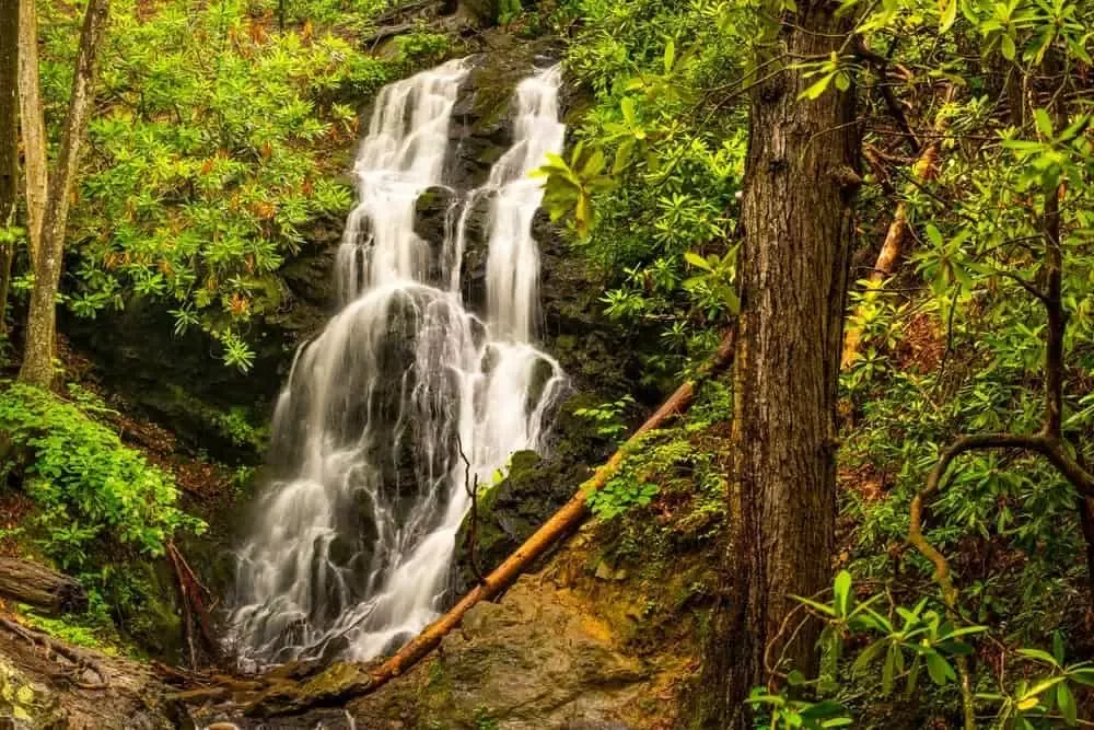Cataract Falls via Gatlinburg Trail