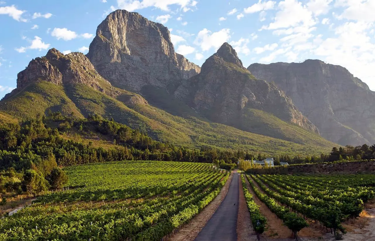Franschhoek Wine Tram