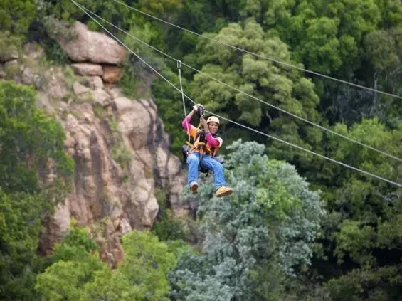 Canopy Tours and Zip Lining