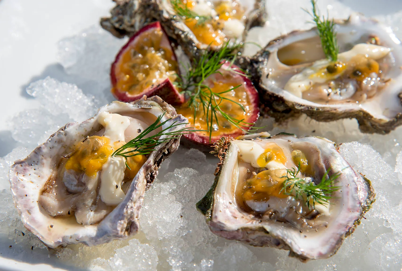 Oyster Company