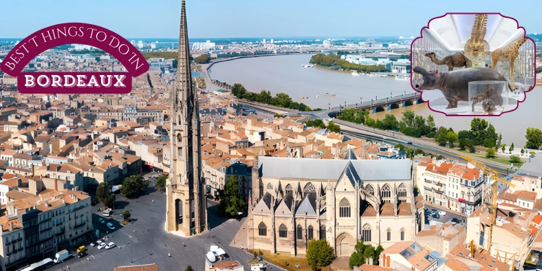 10 Amazing Things to Do in Bordeaux: Ultimate 2025 Guide things to do in bordeaux