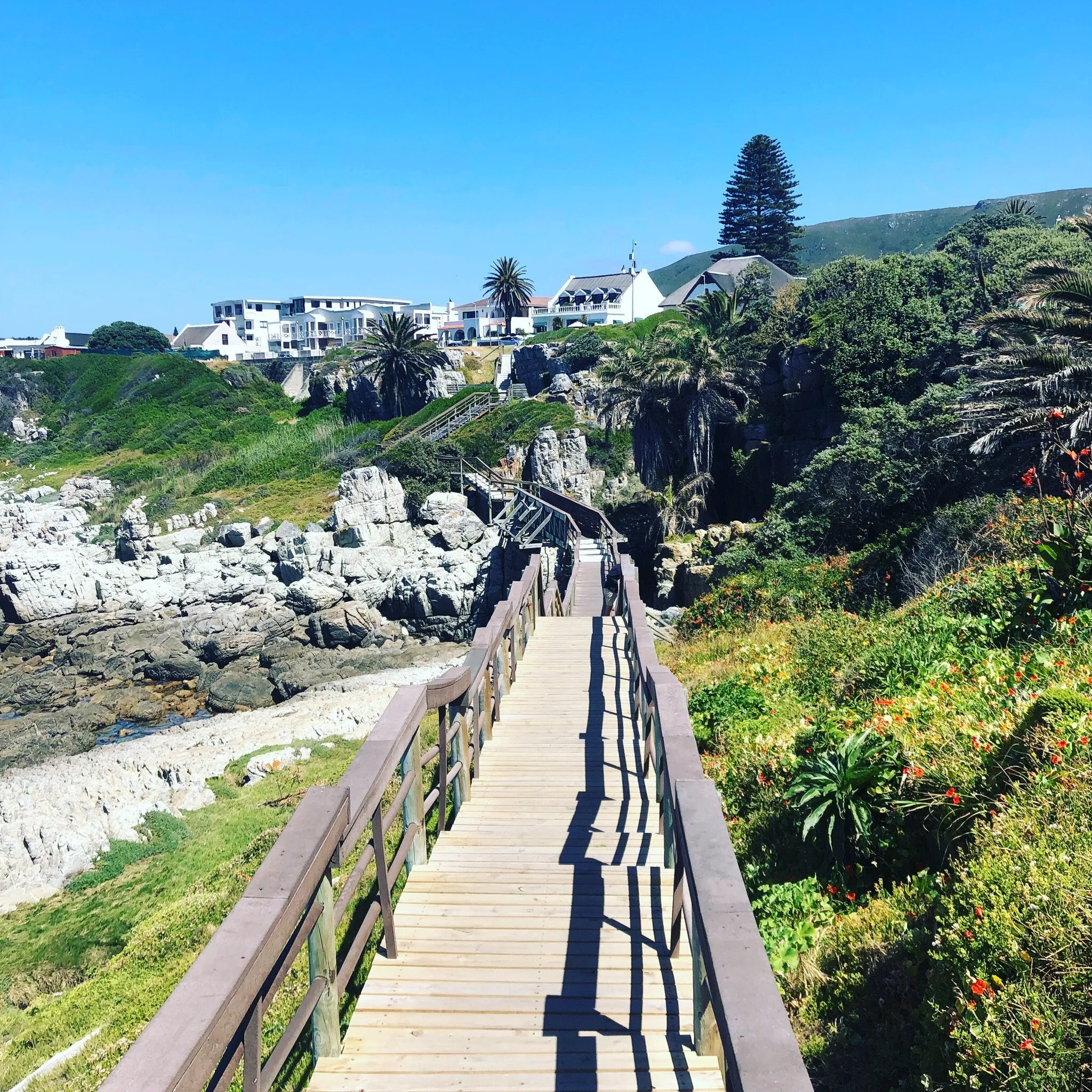 Rotary Way Cliff Path Walk