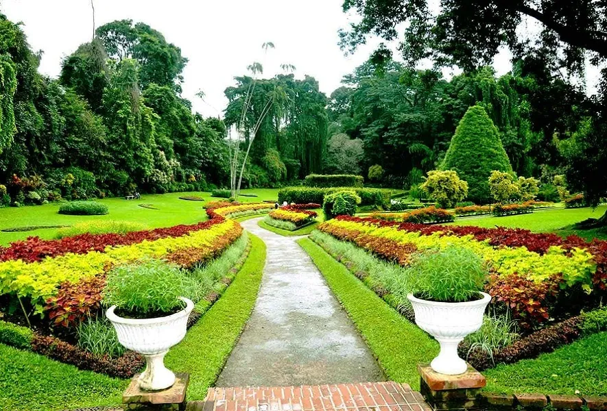Royal Botanical Gardens, Peradeniya