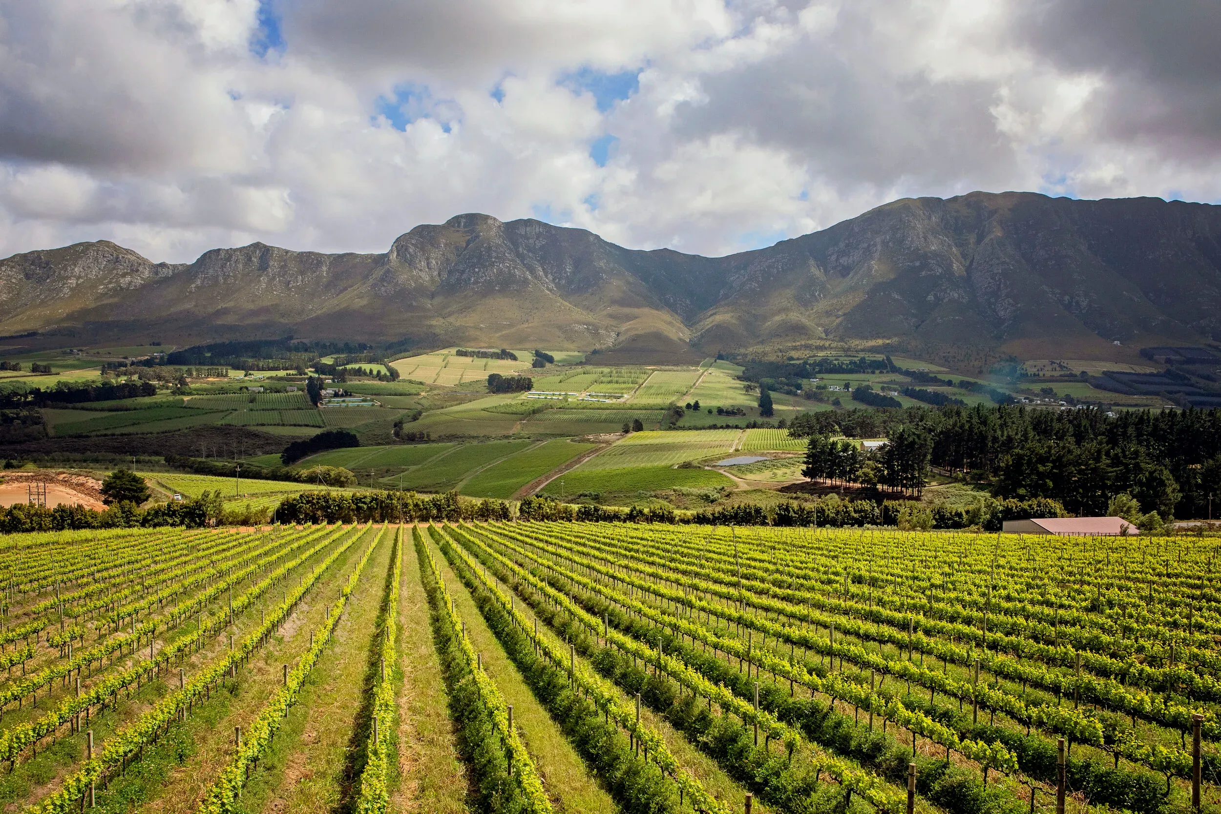 Hemel-en-Aarde Valley Wine Estates