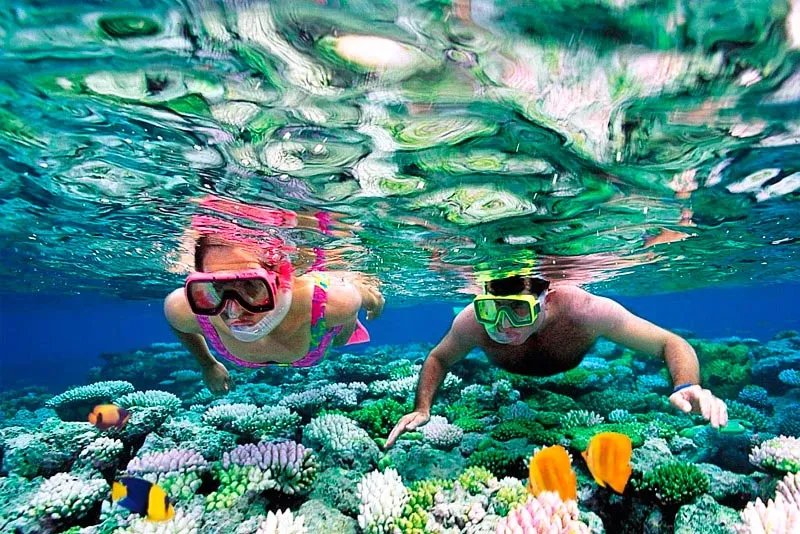 Snorkelling in Unawatuna Beach
