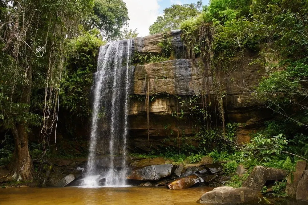 Shimba Hills National Reserve