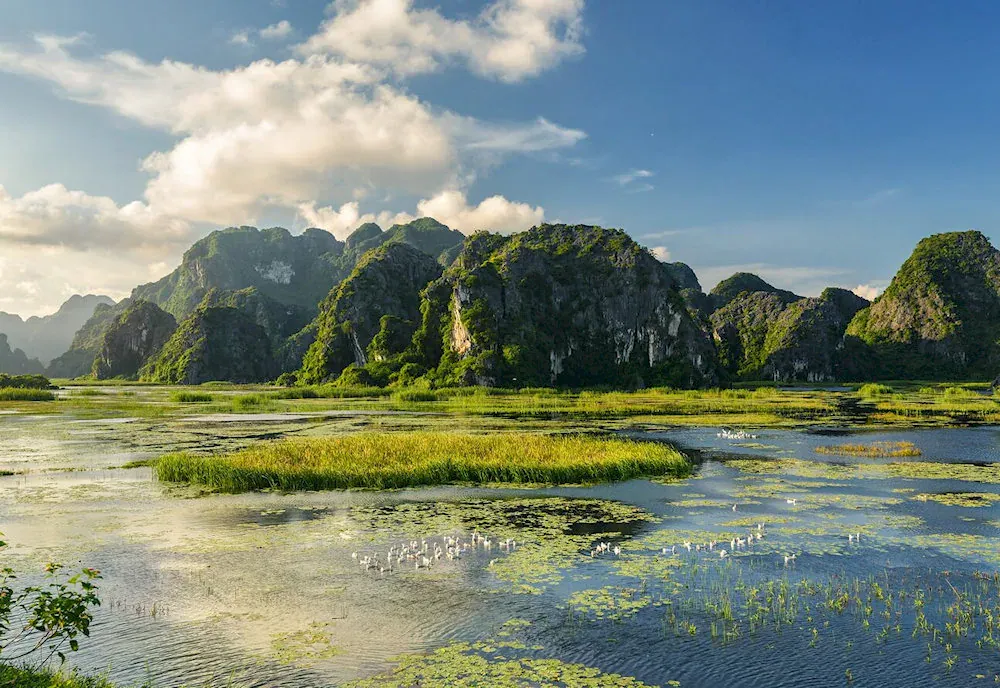 Van Long Nature Reserve