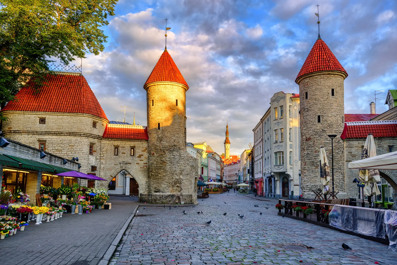 Wander Through Tallinn Old Town