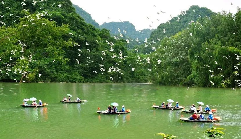 Thung Nham Bird Garden