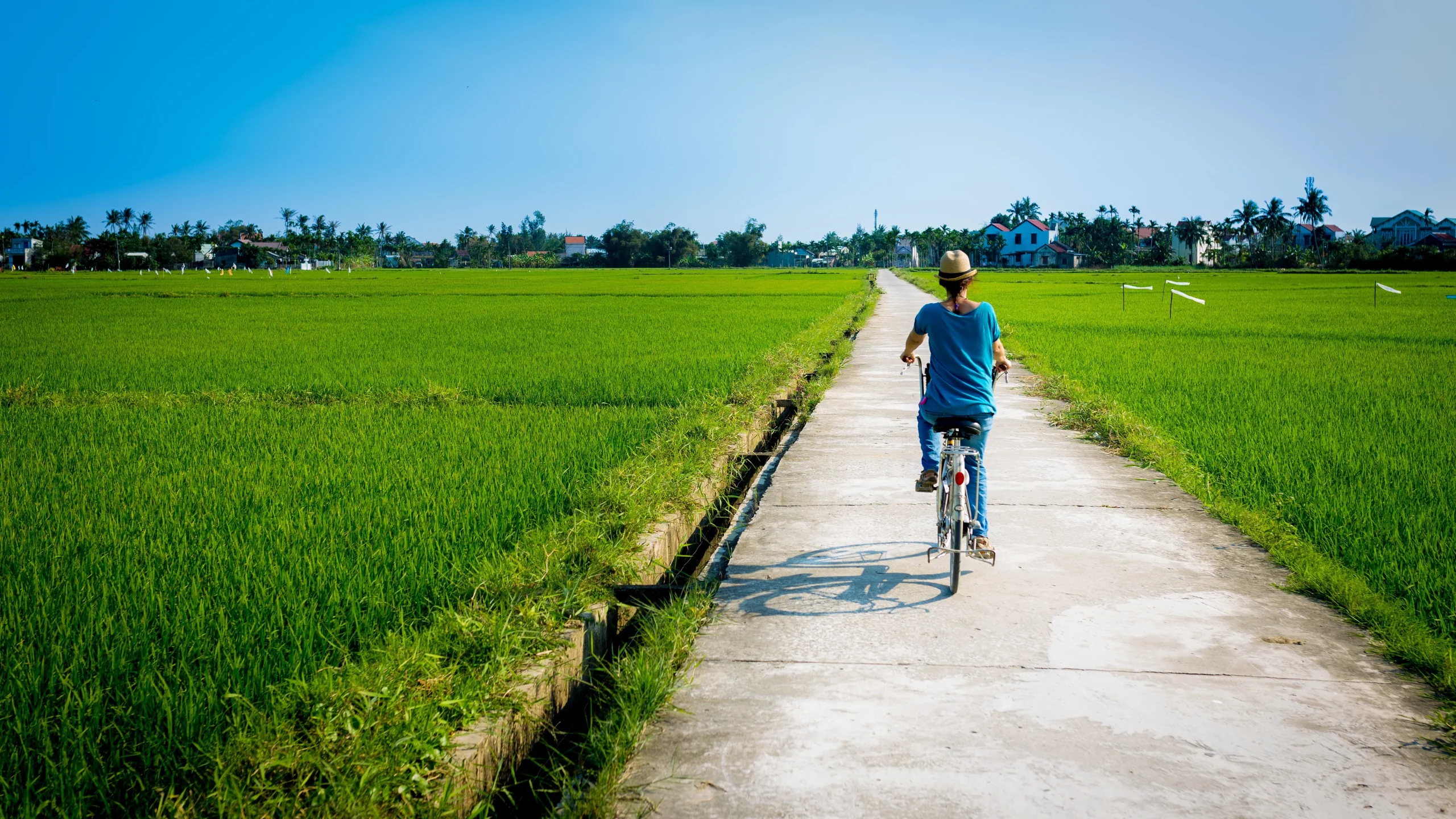 Cycling Through Rice Paddies